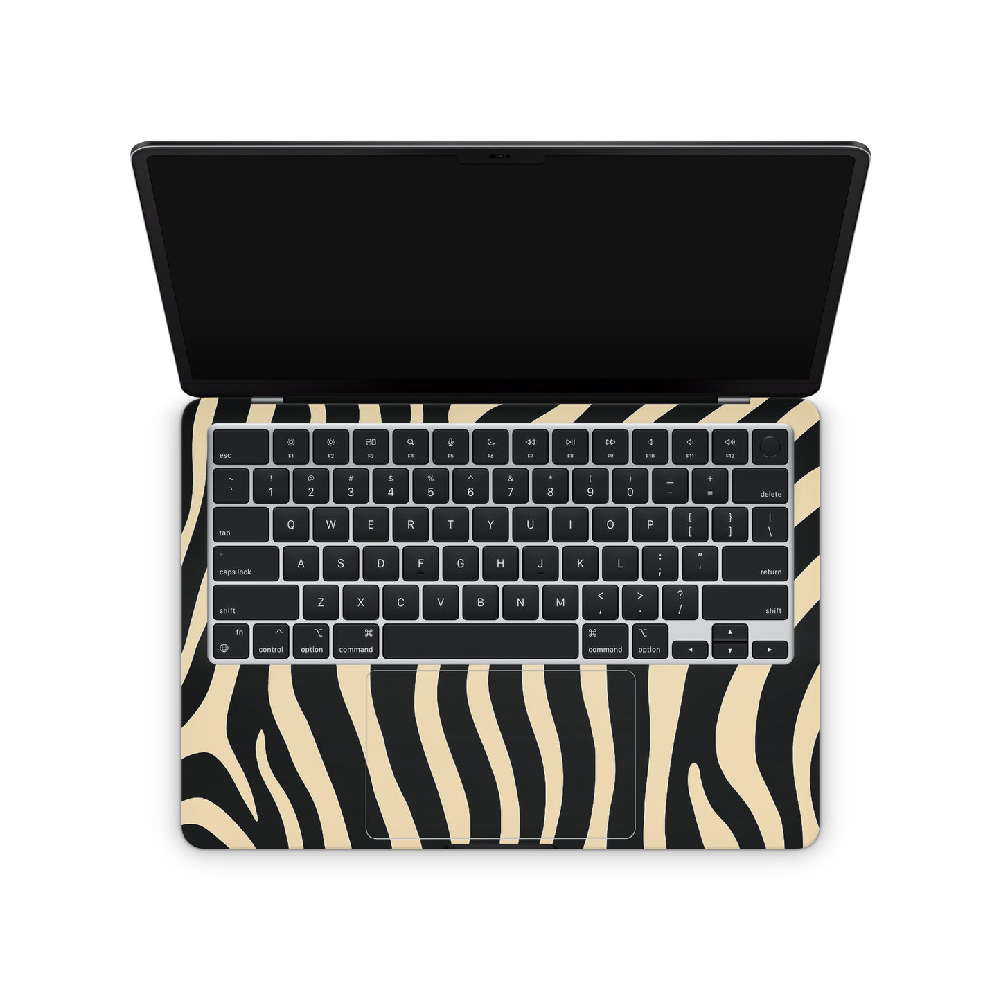 Urban Zebra