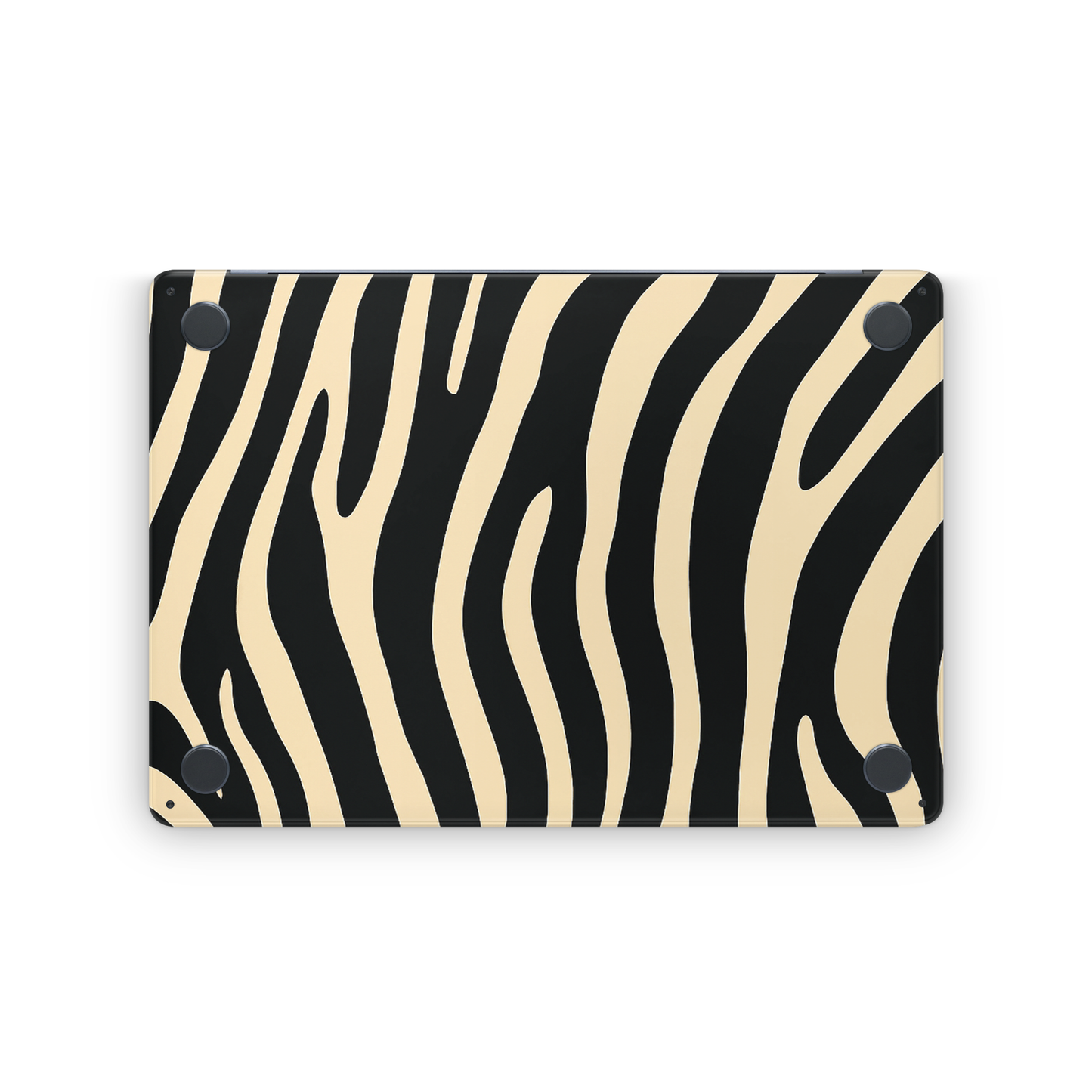 Urban Zebra