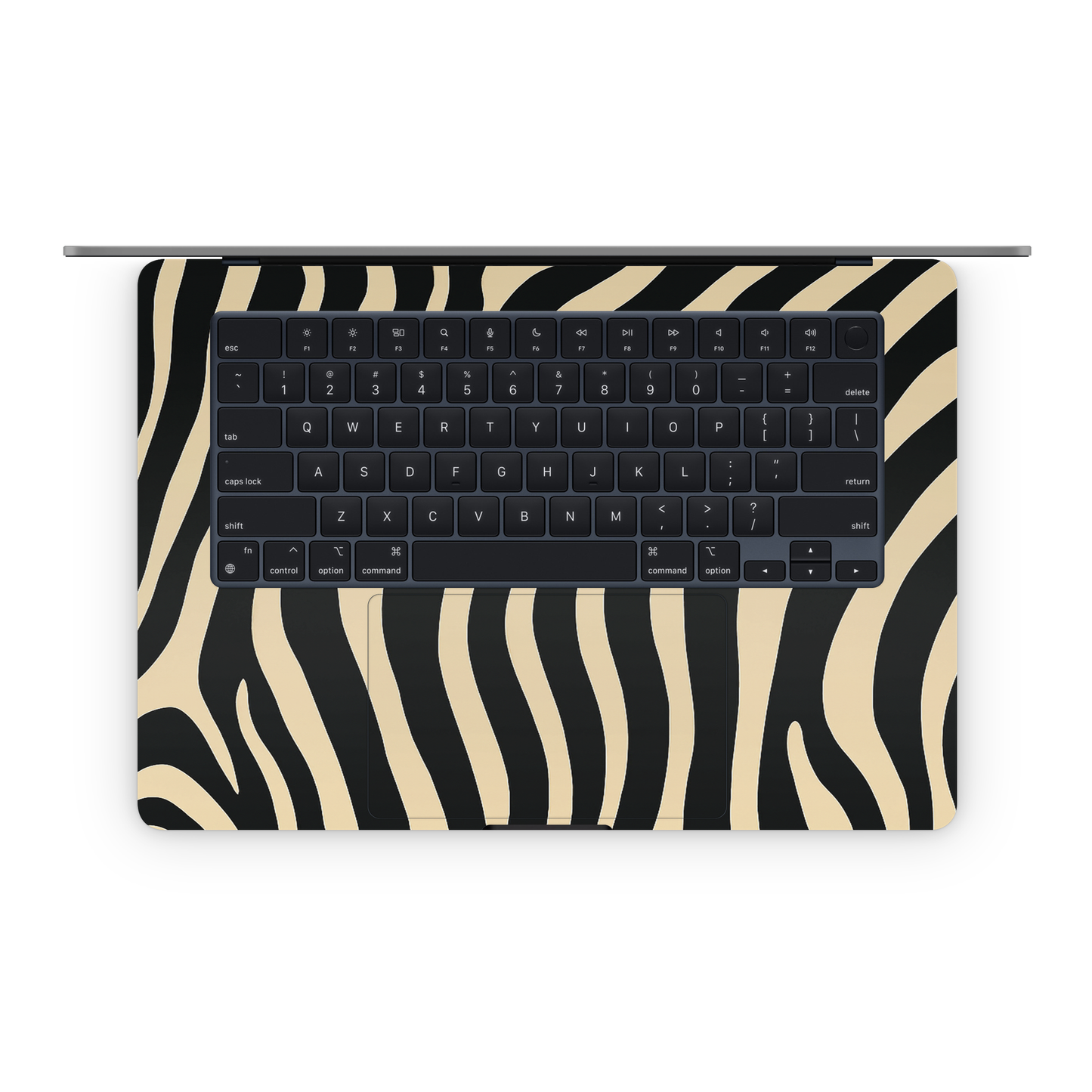 Urban Zebra