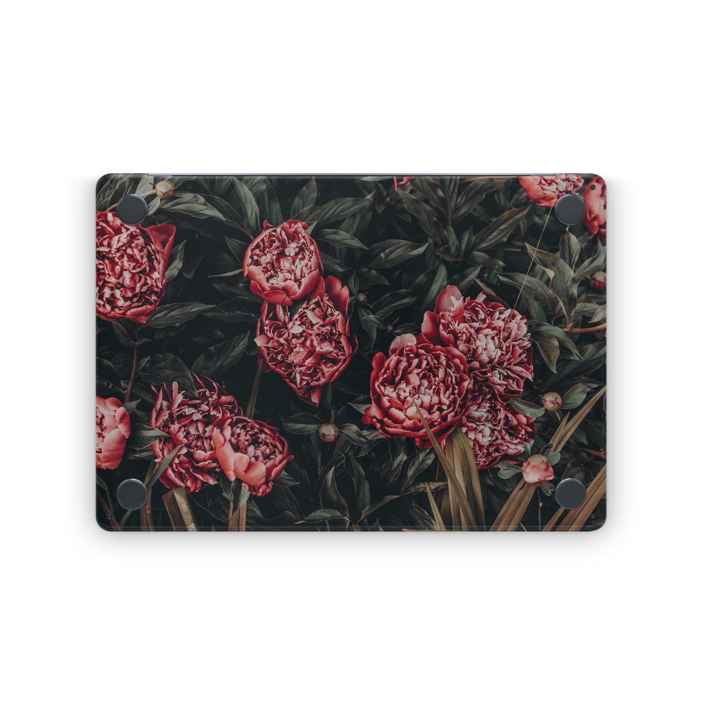 Midnight Peonies